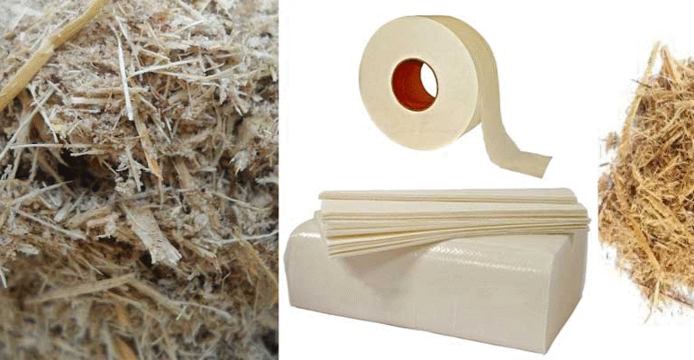 Developing paper based on bagasse to map forth a sustainable future